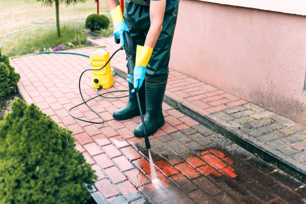 Best Driveway Pressure Washing  in Rolesville, NC